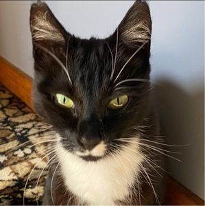 Meet your Posher, Rachael